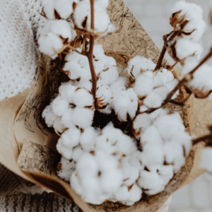 parfum-de-linge-fleurs-de-coton