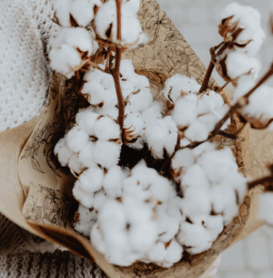 parfum-de-linge-fleurs-de-coton