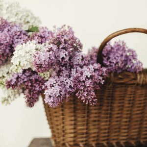 parfum-de-linge-lilas